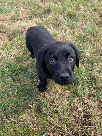 23. Collagen-Challenge: Portraits-Beitrag-Bild