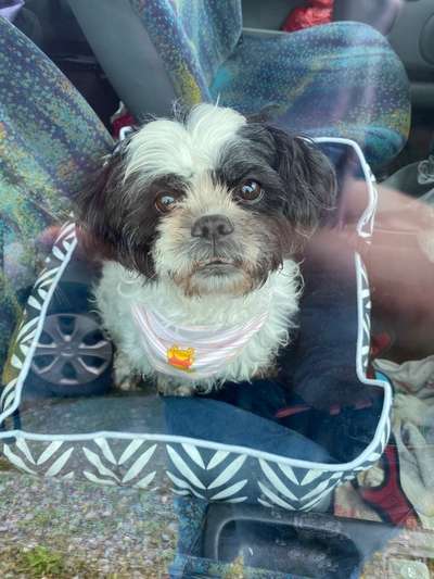 Lieblings Fotos-Beitrag-Bild