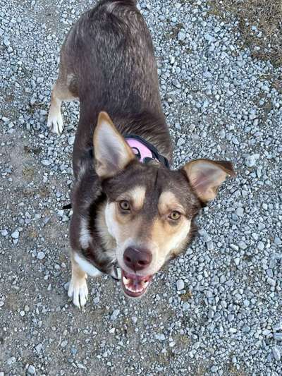 Handy-Foto Challange Nr. 10-Beitrag-Bild