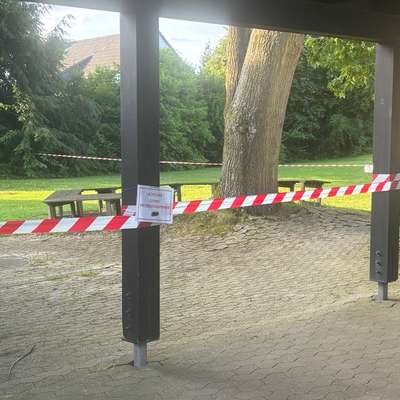 Giftköder-Eichenprozessionsspinner Ittenbach-Bild