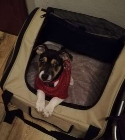 CHALLENGE NR. 18 - ON TOUR-Beitrag-Bild