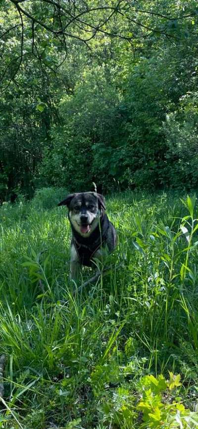 Baden in München-Beitrag-Bild