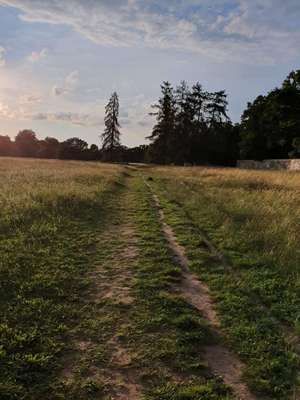 Hundeauslaufgebiet-An der Schlossmauer-Bild