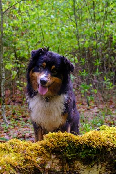 Handyfoto challenge Nr. 13: Waschlappen raus!-Beitrag-Bild