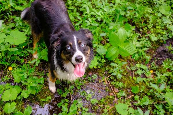 Handyfoto challenge Nr. 13: Waschlappen raus!-Beitrag-Bild