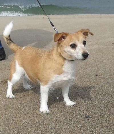 Fotochallenge Nr. 56 - geliebte Senioren-Beitrag-Bild