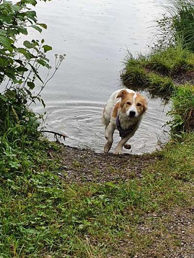 Postet eure schönsten Bilder von Spaziergängen in 2020!-Beitrag-Bild