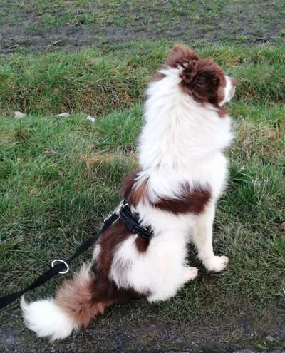 Lieblings Fotos-Beitrag-Bild