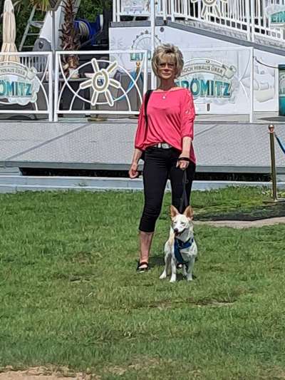 Hund abgegeben, weil Urlaub anstand? Leider kein Witz 😳-Beitrag-Bild