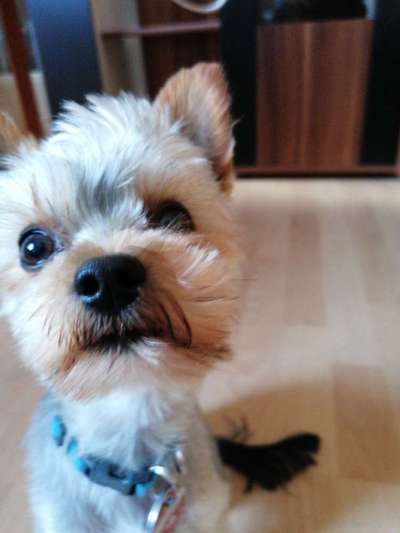 42. Handy Fotochallenge - Den richtigen Riecher haben-Beitrag-Bild