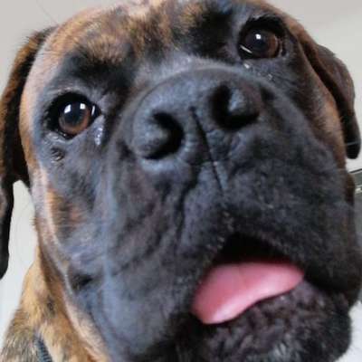 42. Handy Fotochallenge - Den richtigen Riecher haben-Beitrag-Bild