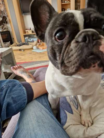 15. Kurzgeschichten-Challenge: Draussen, in der Natur-Beitrag-Bild