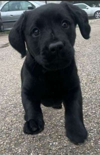 Lieblingsbild-Beitrag-Bild