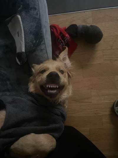 Das beste grinsefoto-Beitrag-Bild