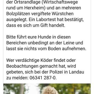 Giftköder-Warnung vor Giftködern-Bild