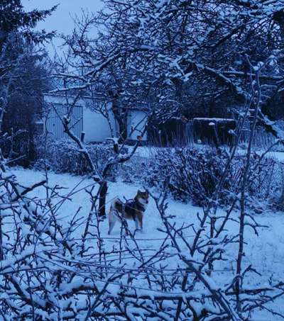 14. Farbenfoto-Challenge "Weiss"-Beitrag-Bild