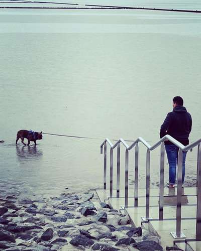 Dogorama Photo Challenge - schönster Gassiausblick-Beitrag-Bild