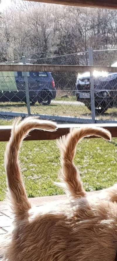 Doppelgänger gesucht !-Beitrag-Bild