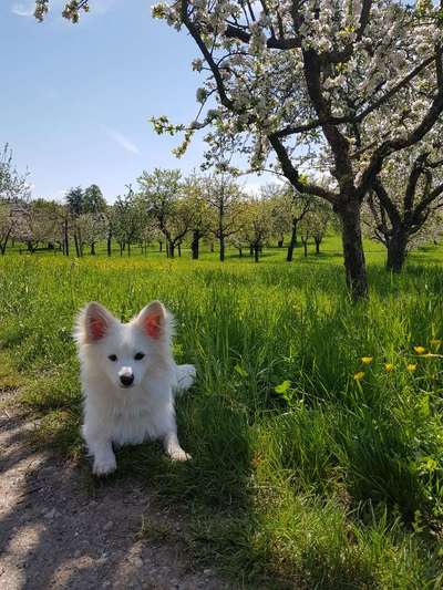 Fotowettbewerb Natur-Beitrag-Bild
