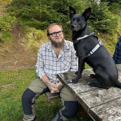 Dav's Profilbild
