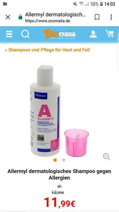 Allergie-Beitrag-Bild