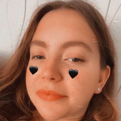 Hundetreffen-🐾🌻Gassi & Spielrunden 🌻🐾