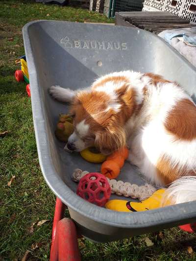 ZOS und UO-Beitrag-Bild