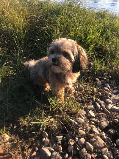 Futterumstellung abbrechen?-Beitrag-Bild