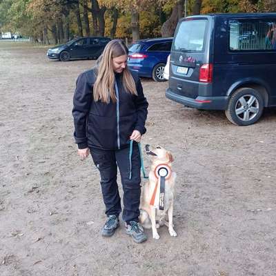 Hundetreffen-Hundesportverein Magdeburg-Diesdorf e.V.