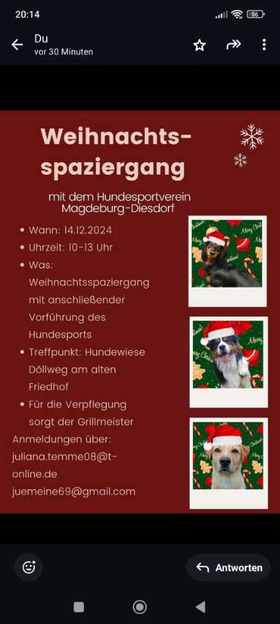 Hundetreffen-Weihnachtsspaziergang-Bild