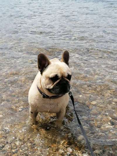 Foto Challenge - BEENDET - bitte aktuelle Challenge nutzen-Beitrag-Bild