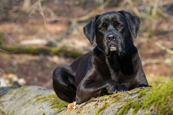 Foto Challenge Nr. 79-Beitrag-Bild