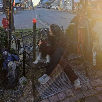 Hundetreffen-Socialwalks, Hundekontakt, Hundefriends-Bild
