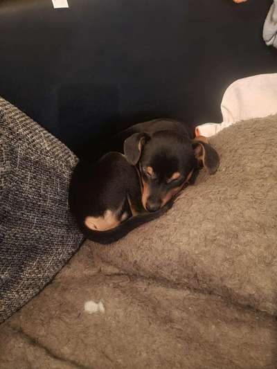 Schlafzeit!💖-Beitrag-Bild