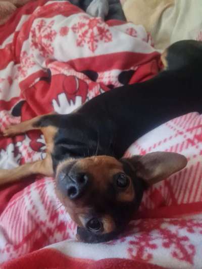 Foto Challange Nr.80-Beitrag-Bild