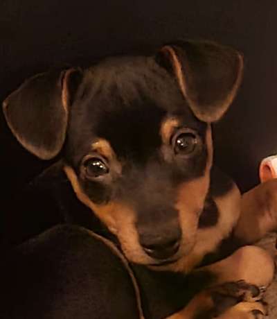 Fotochallange Nr. 57     PORTRÄT.   Beendet!!!!!!!!-Beitrag-Bild