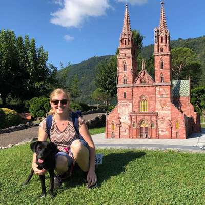 Hundetreffen-Hundetreffen-Profilbild