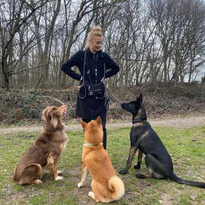 %{de_profession_title}-Individuelles 1:1 Training-Bild