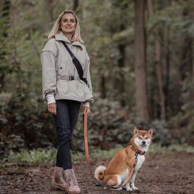 Hundeschulen-Nicole Grendzinski-Hundetraining auf Schnauzenhöhe-Bild