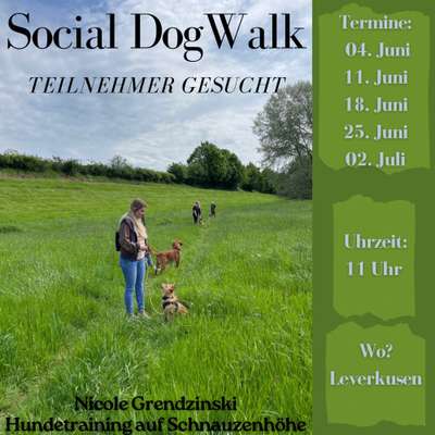 Giftköder-Social Dog Walks-Bild