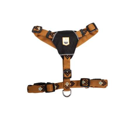 %{de_profession_title}-Nachhaltiges Hundegeschirr | Recycelt-Bild