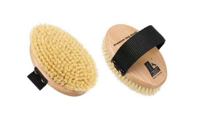 %{de_profession_title}-Hundebürste Premium | Vegan |-Bild