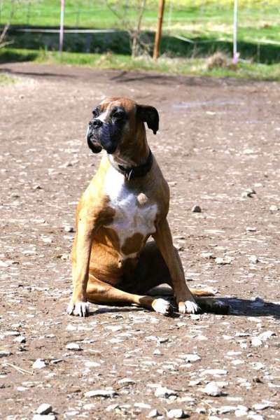 Foto Challenge Nr.: 115-Beitrag-Bild