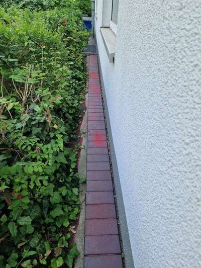 Giftköder-Rotes Kristall Pulver Gift?-Bild