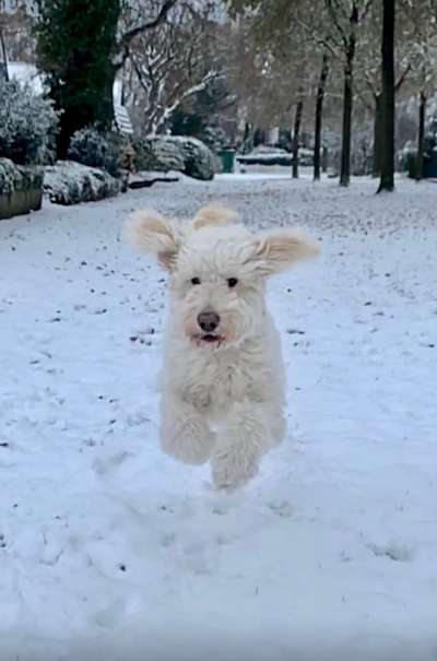 Schnee Foto-Beitrag-Bild