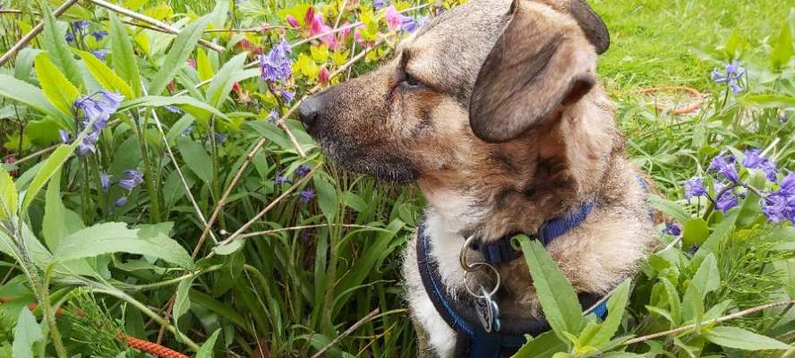 Fotochallenge Nr. 62 Romantische Momente-Beitrag-Bild