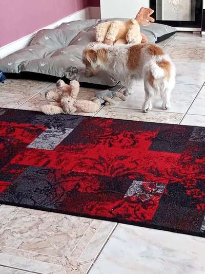 Foto Challenge die Vierte-Beitrag-Bild