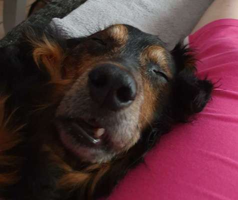 Fotochallenge No. 5-Beitrag-Bild