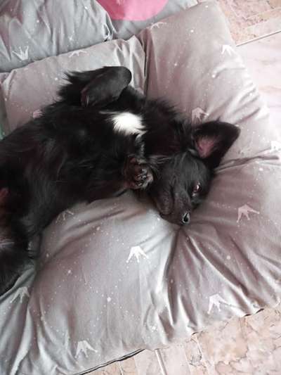 müde der kleine-Beitrag-Bild