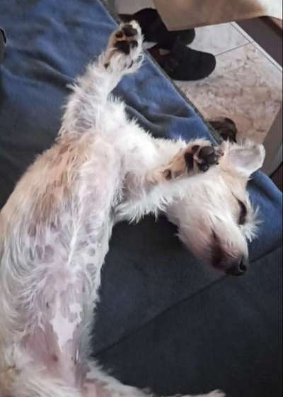 Die unbequemsten und lustigsten Schlafpositionen-Beitrag-Bild